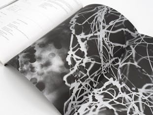 大西康明 空洞の彫刻   Yasuaki Onishi: Empty Sculpture